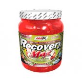 AMIX RECOVERY MAX 575GR
